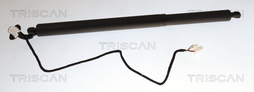Triscan Gasveer, kofferruimte 8710 23318
