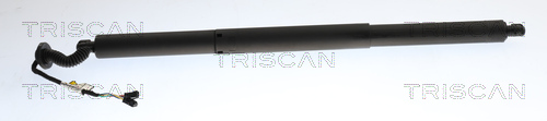 Triscan Gasveer, kofferruimte 8710 24303