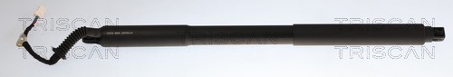 Triscan Gasveer, kofferruimte 8710 24307