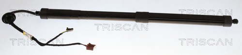 Triscan Gasveer, kofferruimte 8710 25302