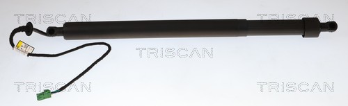 Triscan Gasveer, kofferruimte 8710 28308