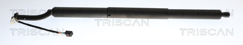 Triscan Gasveer, kofferruimte 8710 29323