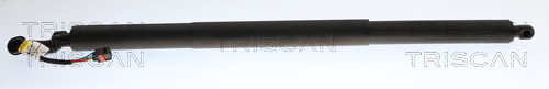 Triscan Gasveer, kofferruimte 8710 29324