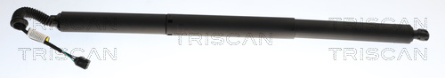 Triscan Gasveer, kofferruimte 8710 29325