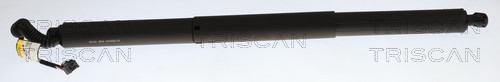 Triscan Gasveer, kofferruimte 8710 29329