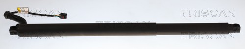 Triscan Gasveer, kofferruimte 8710 29340