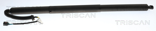 Triscan Gasveer, kofferruimte 8710 43313