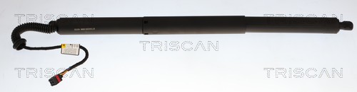 Triscan Gasveer, kofferruimte 8710 43320