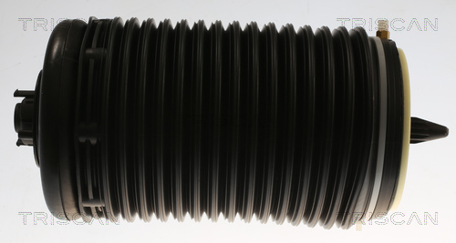 Triscan Luchtvering, chassis 8720 29204