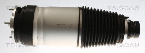 Triscan Luchtvering, chassis 8720 81101