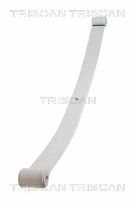 Triscan Bladveer 8765 10004