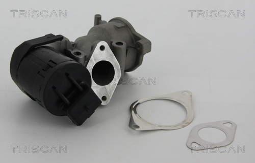 Triscan EGR-klep 8813 10001