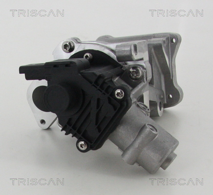 Triscan EGR-klep 8813 10007