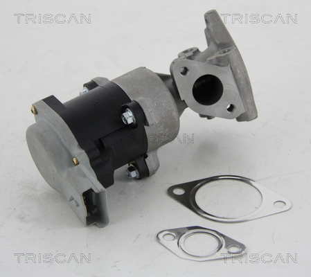 Triscan EGR-klep 8813 10008