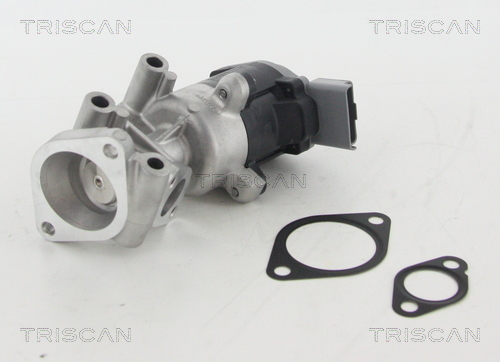 Triscan EGR-klep 8813 10009