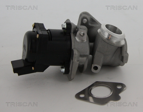 Triscan EGR-klep 8813 10010