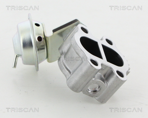 Triscan EGR-klep 8813 13060