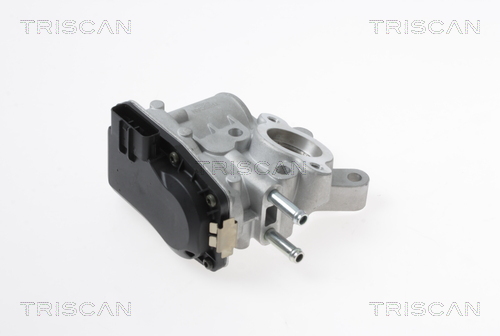 Triscan EGR-klep 8813 14100