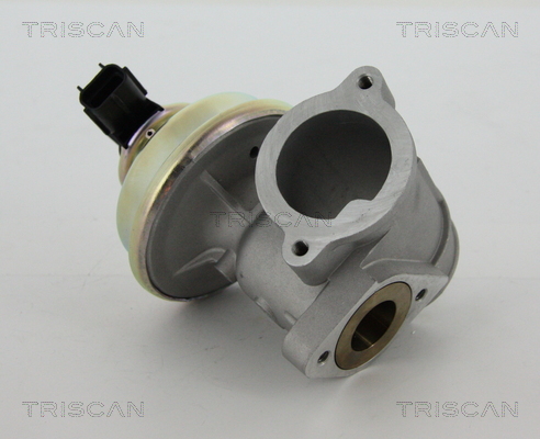 Triscan EGR-klep 8813 16102