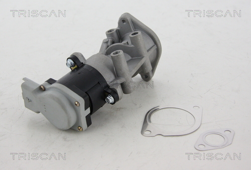 Triscan EGR-klep 8813 17008