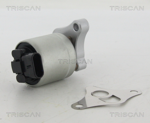 Triscan EGR-klep 8813 24002