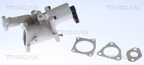 Triscan EGR-klep 8813 24022