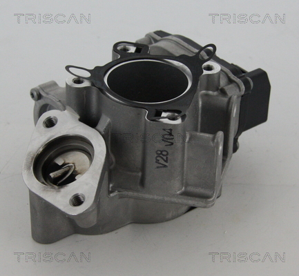 Triscan EGR-klep 8813 24039