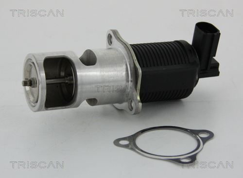 Triscan EGR-klep 8813 24055