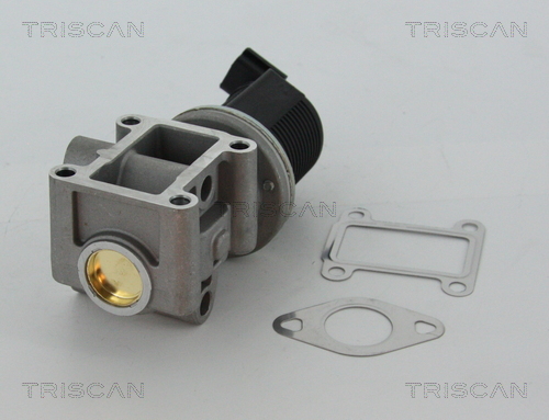 Triscan EGR-klep 8813 24082