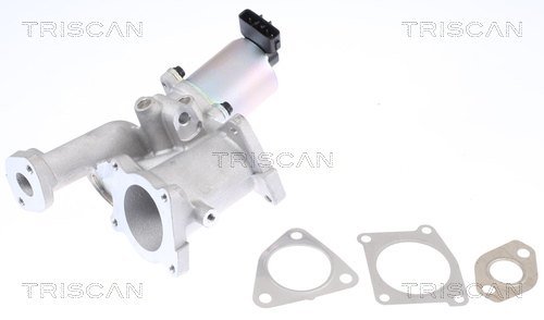 Triscan EGR-klep 8813 24101