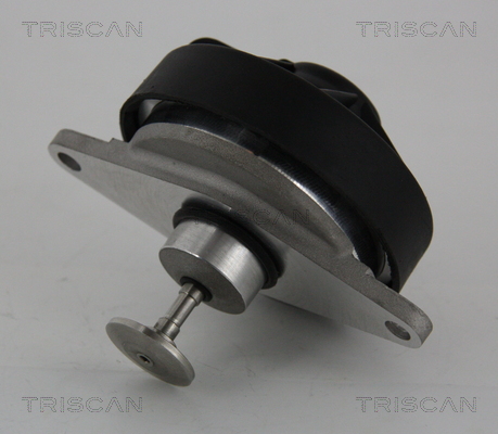 Triscan EGR-klep 8813 24202