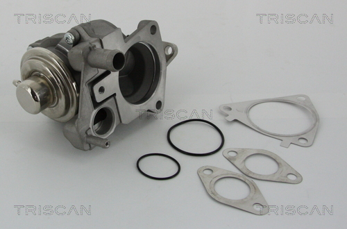 Triscan EGR-klep 8813 28019