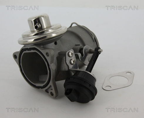 Triscan EGR-klep 8813 29040