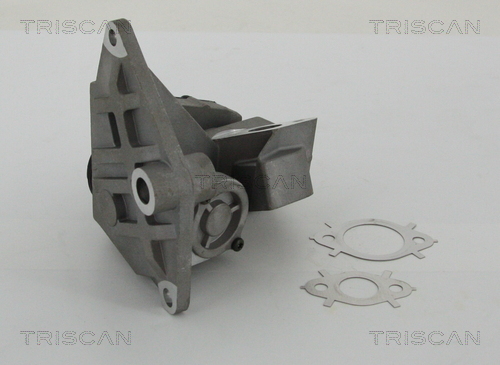 Triscan EGR-klep 8813 29047