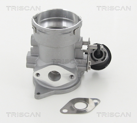 Triscan EGR-klep 8813 29056