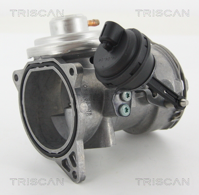 Triscan EGR-klep 8813 29070