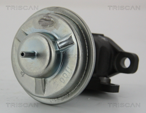 Triscan EGR-klep 8813 43003