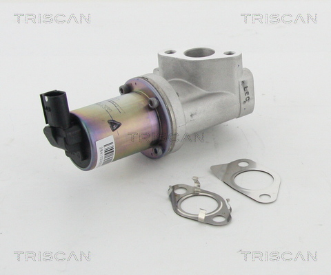 Triscan EGR-klep 8813 43021