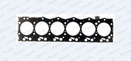 Payen Cilinderkop pakking AG9530