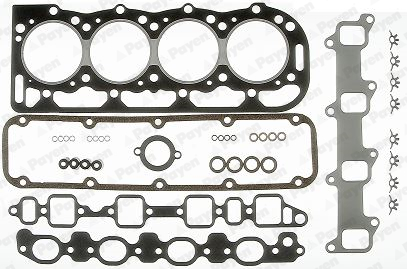 Payen Cilinderkop pakking set/kopset DS990