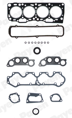 Payen Cilinderkop pakking set/kopset DT401