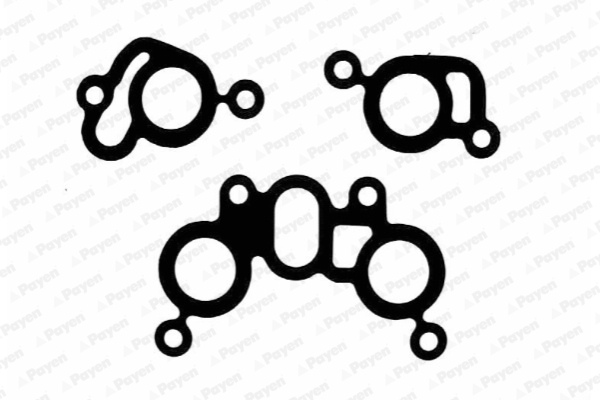 Payen Inlaatspruitstukpakking HA366