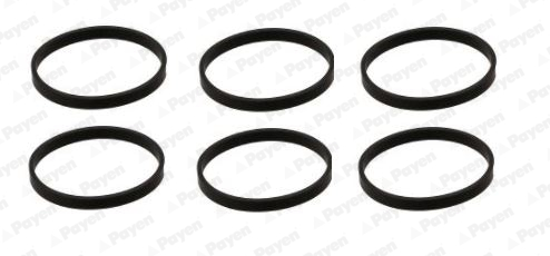 Payen Inlaatspruitstukpakking HA5074