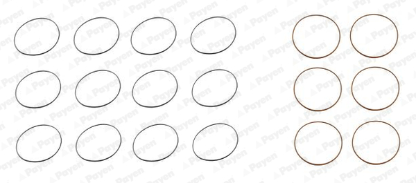 Payen Cilinderbus/voering O-ring HL5003