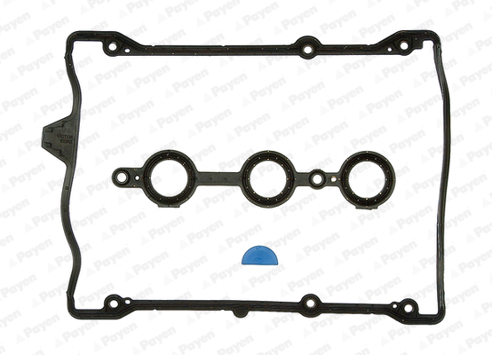 Payen Kleppendekselpakking HM5224