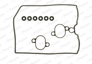 Payen Kleppendekselpakking HM5255