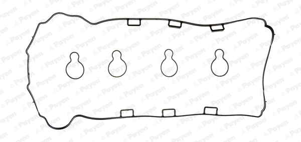 Payen Kleppendekselpakking HM5370