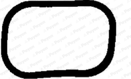 Payen Inlaatspruitstukpakking JD5328