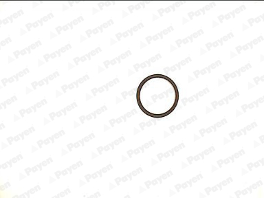 Payen Uitlaatpakking JE241