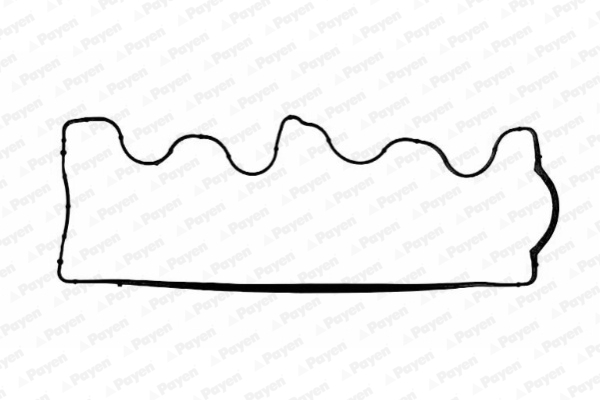 Payen Kleppendekselpakking JM5028